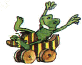 Frosch auf TigerEnte